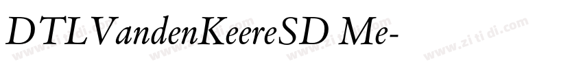 DTLVandenKeereSD Me字体转换